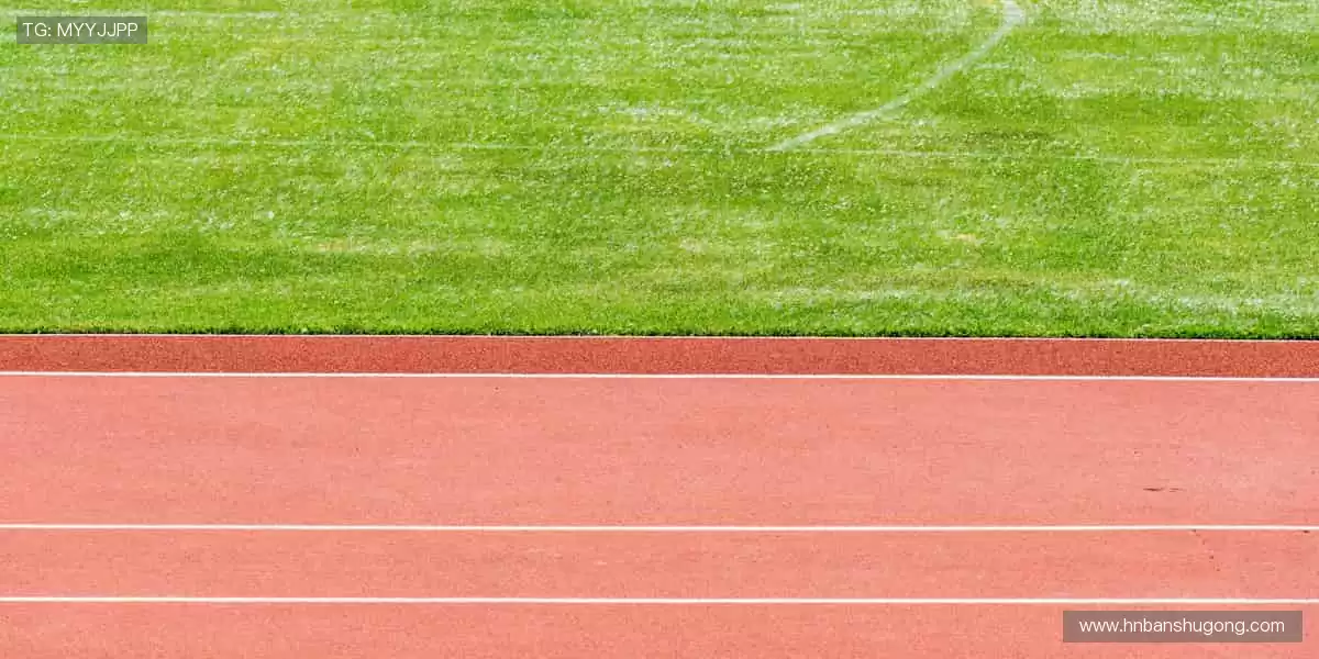 高清画质 + 专业解说,打造沉浸式观赛体验!🎧